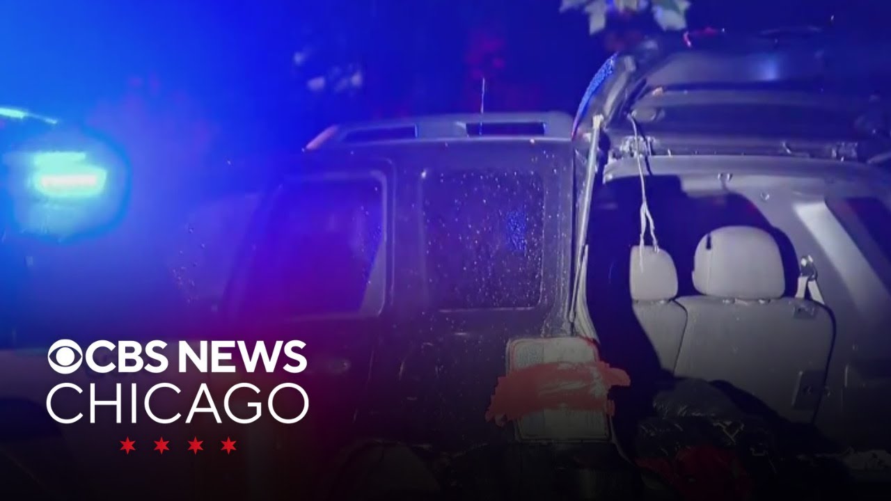Chicago Police officer mourned after being shot, killed during traffic stop