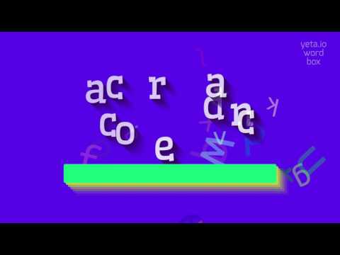 HOW TO SAY ACCORDANCE?