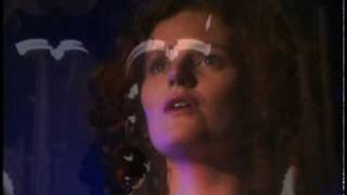 The Blue Bird Music Video