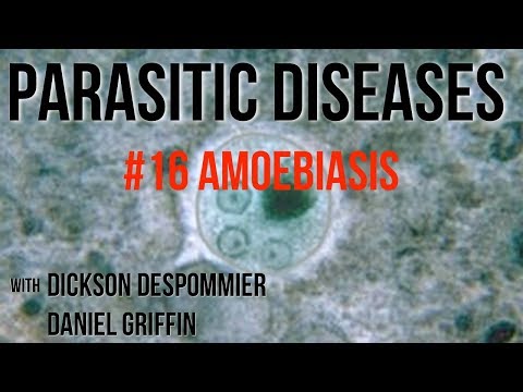 Parasites Without Borders, Parasitic Diseases Lectures #16: Amoebiasis