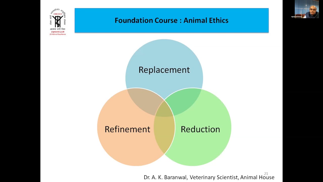 Animal Ethics
