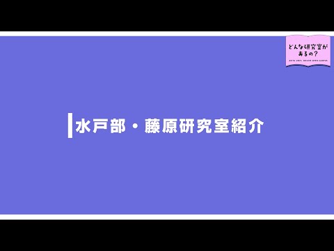 情報データ科学部 水戸部・藤原研究室（現：理工学部 数理・電気電子情報学科 人間情報工学コース）