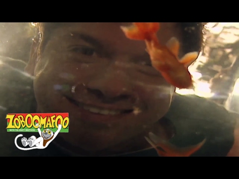 Zoboomafoo 130 - Jumpers | HD | Full Episode