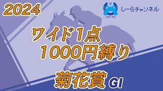 【2024年菊花賞】スタミナも大事だが、馬場適正も大事【しーらch】