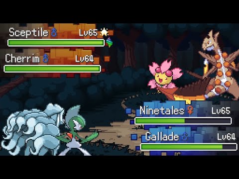 [Pokemon Rejuvenation 13.5] Chapter 10 - Stopped in Our Tracks