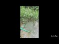 Real estate dealer chikmagalur Property dealer Sakleshpur