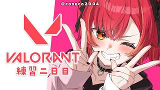 【VALORANT】#ぶいすぽGG　練習二日目！フラクチャーやるぞ【ぶいすぽ / 猫汰つな】