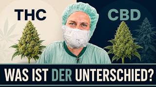THC vs. CBD: Ist das Eine gesund und das Andere gefährlich?