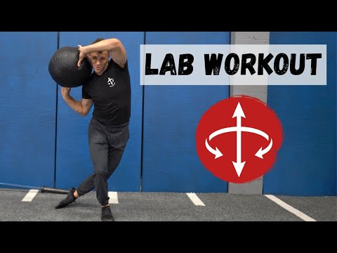 The Lab Workouts: Foundation Series - Full Body 2
