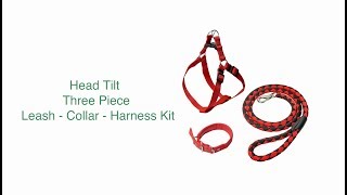 Head Tilt Leash Collar Harness Kit