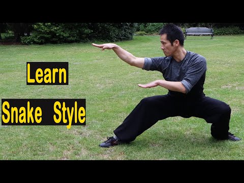 Kung Fu Wushu Snake Style - Snake Form 蛇拳