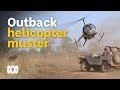 Helicopter Mustering Feral Buffalo In Outback Australia Wild Rides Ep 1 ABC Australia