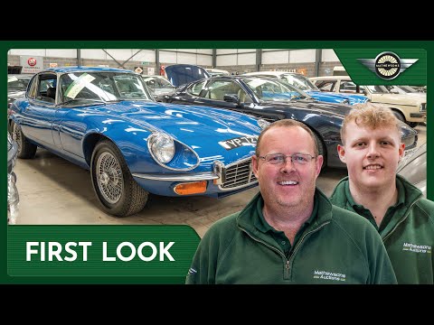 FIRST LOOK At The Cars In The Next Auction