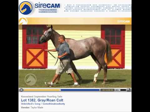 09 Unbridled's Song--Somethinaboutbetty