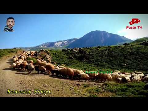 Dengbêj Şakiro Sebra mîn nayê 🌾 arşîv Ramazan Esmer