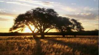 El Arbol Que Tú Olvidaste Music Video