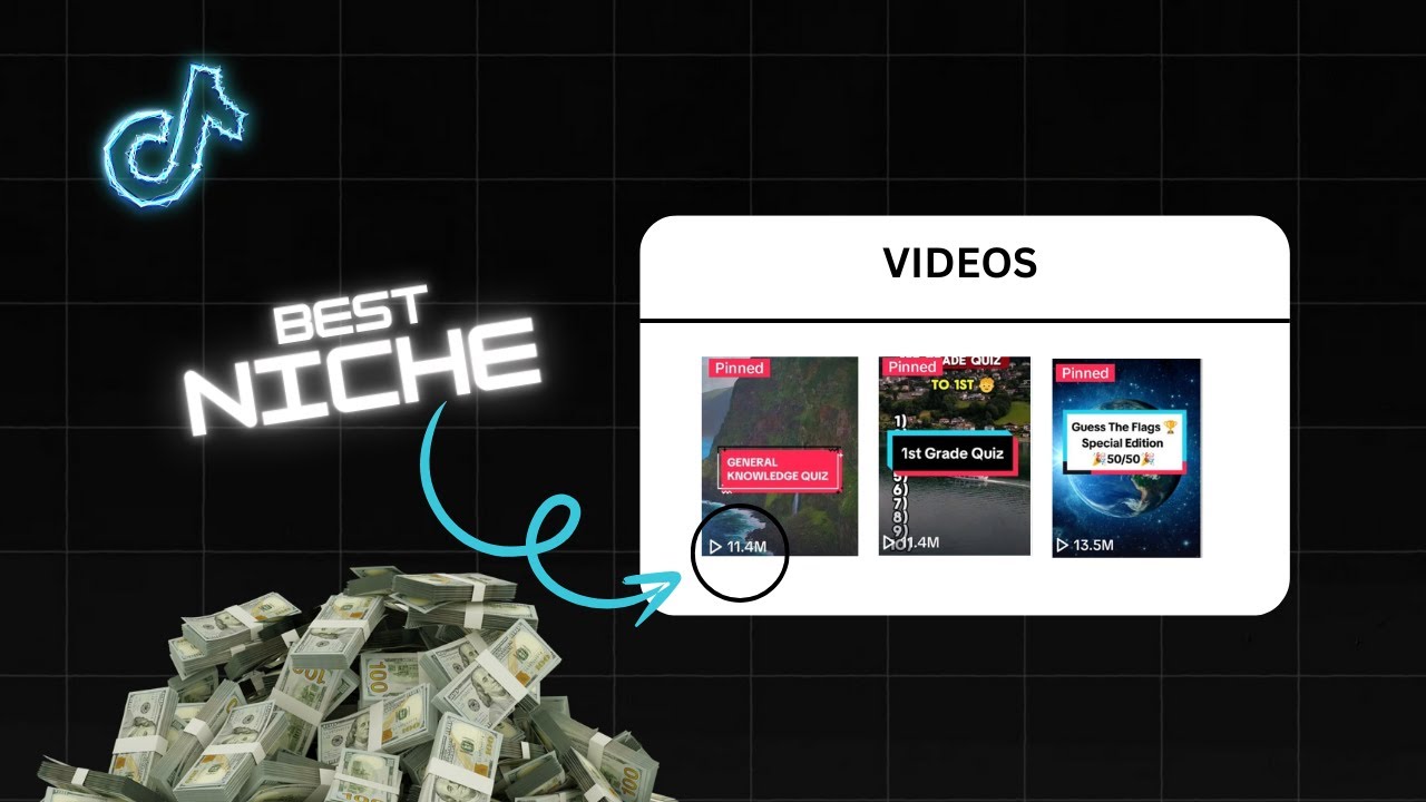 I Found THE NEW BEST VIRAL NICHE on TikTok! (Quiz Niche)