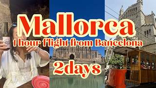 【マヨルカ/Mallorca Vlog】2日間かけてレンタカーで周遊｜Palma Cathedral, Sóller Tram & Alcúdia Market