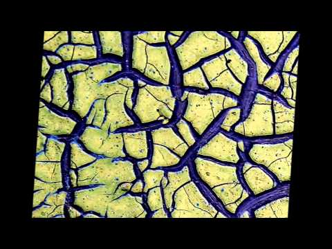 CRACKS AS FRACTALS...