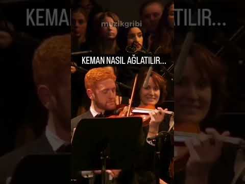 Layth sidiq Keman show #cover