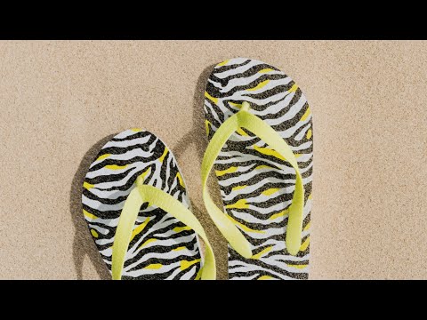 Magical Slippers Spark Adventures