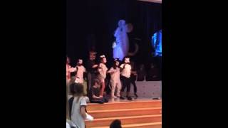 Olivia's Kitty Cat Capers