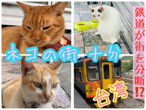 [Linha Pingxi Norte] Estação Shifen | Cat Town | Um trem corta a cidade? ｜Linha Pingxi