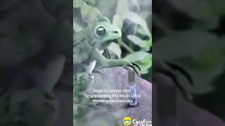 Download lagu Cocofun keren story wa 14 detik mp3