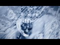 Видео Brit Splash - Burberry | Malva-Parfume.Ua ✿