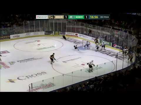 Maine Mariners vs. Newfoundland Growlers highlights - 11/4/22