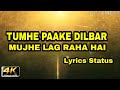 Tumhe Paake Dilbar Mujhe Lag Raha Hai Video Lyrics Status