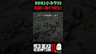 【RDR2】足跡を30秒見続けた結果…【レッドデッドリデンプション2】