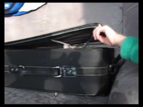 Grisus erstes Lebensjahr