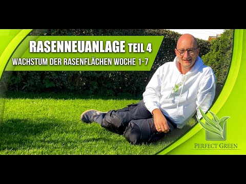Rasenneuanlage & Nachsaat | Teil 4: Rasenwachstum Woche 1 bis 7 | Entwicklung der Rasenflächen