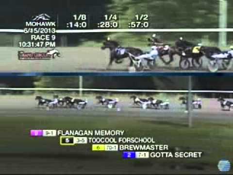 Goodtimes Trot 2013 -Flanagan Memory