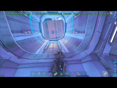 [Official PVE] Taming Voidwyrm Learning on Fails