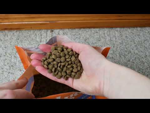 Solid Gold Indigo Moon Review (We Tried It)