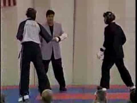 Alex Lane vs Hamed Firouzi 2005 Pan American Internationals Karate Tournament