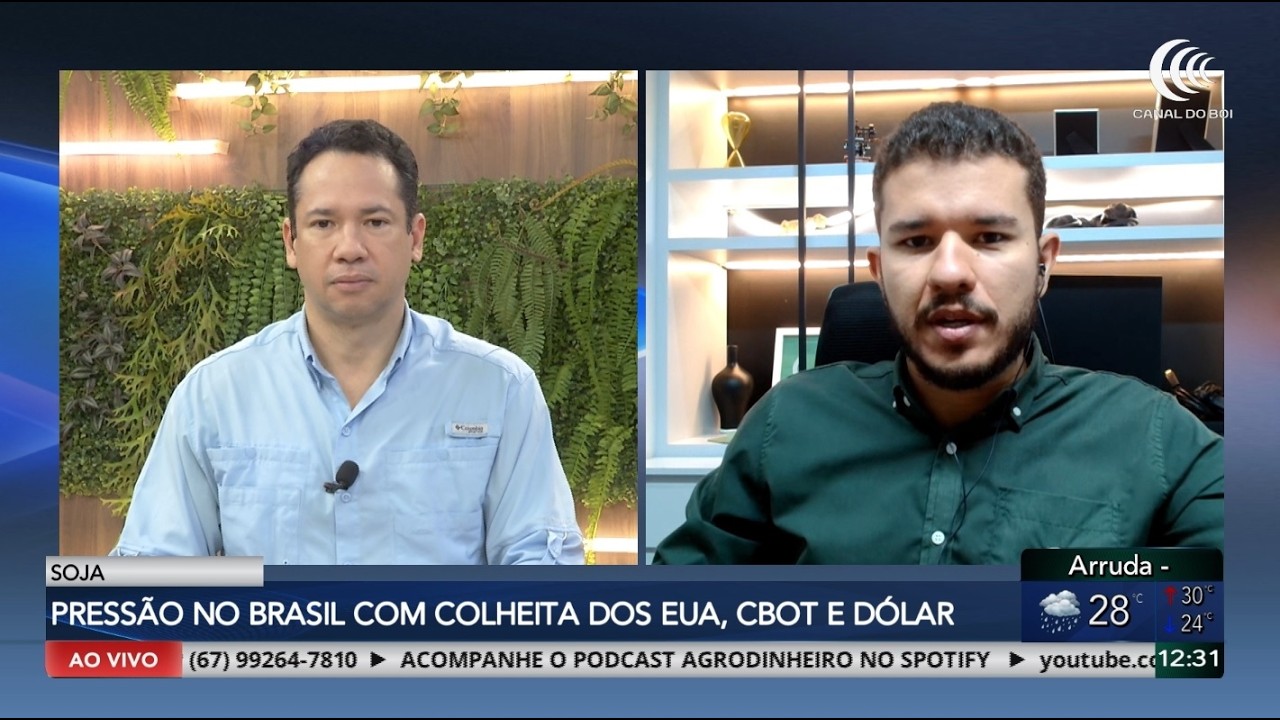 Soja brasileira pressionada pela colheita dos EUA e dólar