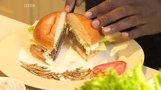 Are insects the food of the future? - BBC What's New
