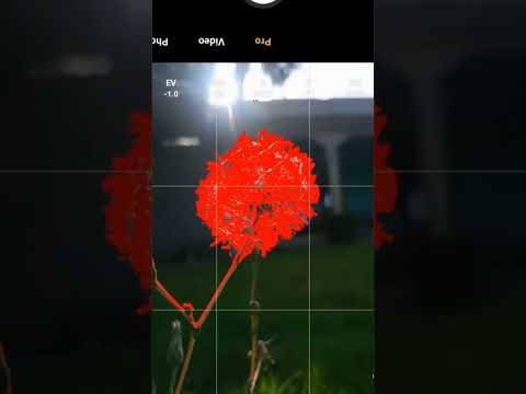 mobile Pro camera settings for macro photography #photography #macro #flower #mobilphotography