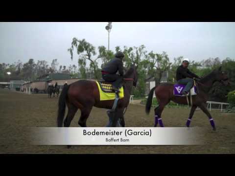 Clockers Corner: Week before Tokyo City Cup