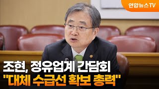 조현, 정유업계 간담회…대체 수급선 확보 총력 / 연합뉴스TV (YonhapnewsTV)