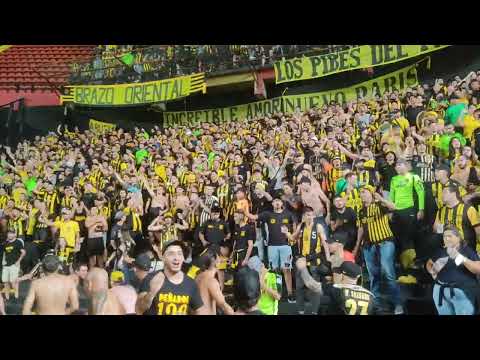 "Peñarol vs Colón de Santa Fé. Clarobscuro" Barra: Barra Amsterdam • Club: Peñarol