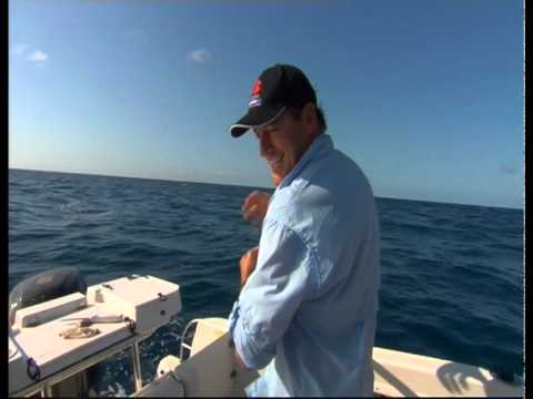 Signature 602F Fishing at Lady Musgrave