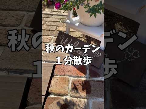 メンテナンス不要の花壇 - 最小限の労力で最大の効果を発揮  庭園