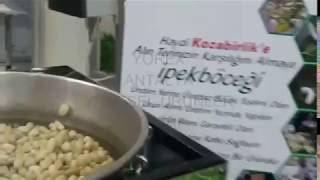 YÖREX ANTALYA YÖRESEL ÜRÜNLER FUARI