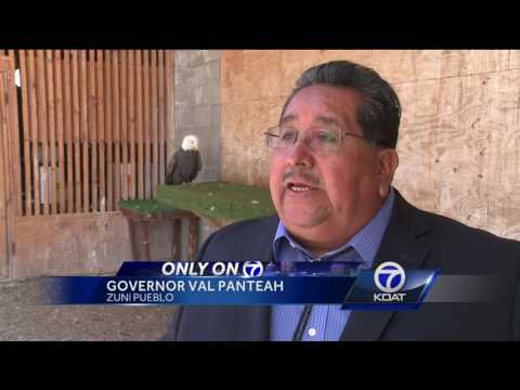 Federal permit allows eagle aviary on Zuni Pueblo