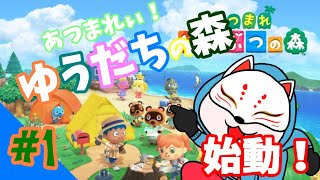 【どうぶつの森】初めてのあつもりぃ！！【ゆうだちの森】