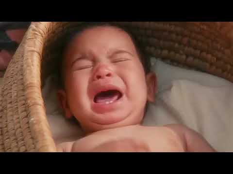 moisés película completa español